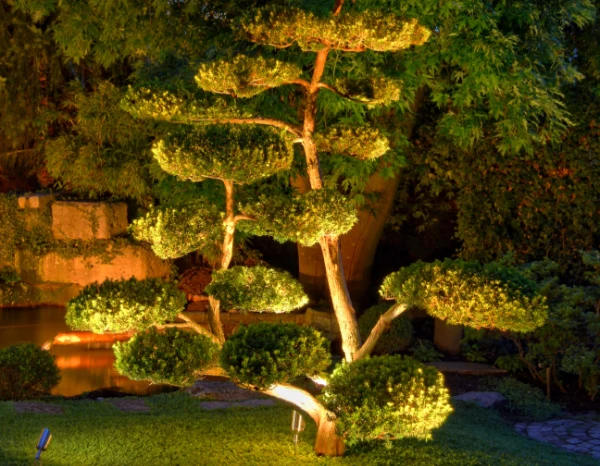 Licht für Garten und Außenanlagen